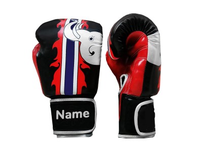 Guantoni da Boxe Personalizzati : KNGCUST-019