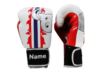Guantoni da Boxe Personalizzati : KNGCUST-020